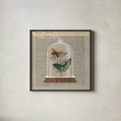 Nature Under Glass Newsprint II by Sue Schlabach. Shown in a sleek black glass frame for a contemporary gallery look. Available as an archival giclee rolled canvas, fine art paper, or poster print. SKU 44734a.