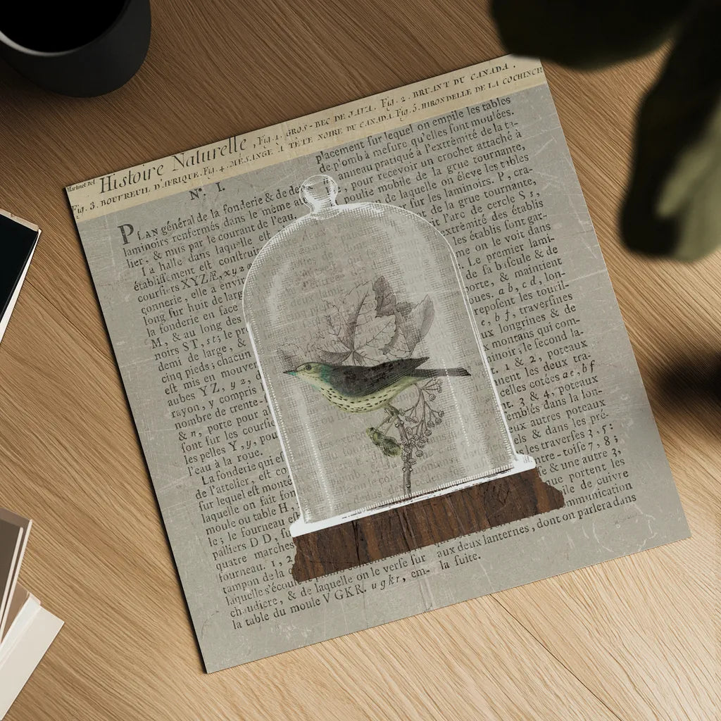 Nature Under Glass Newsprint III by Sue Schlabach. Shown as a detailed flat fine art print, highlighting archival giclee quality. Available as an archival giclee rolled canvas, fine art paper, or poster print. SKU 44735a.