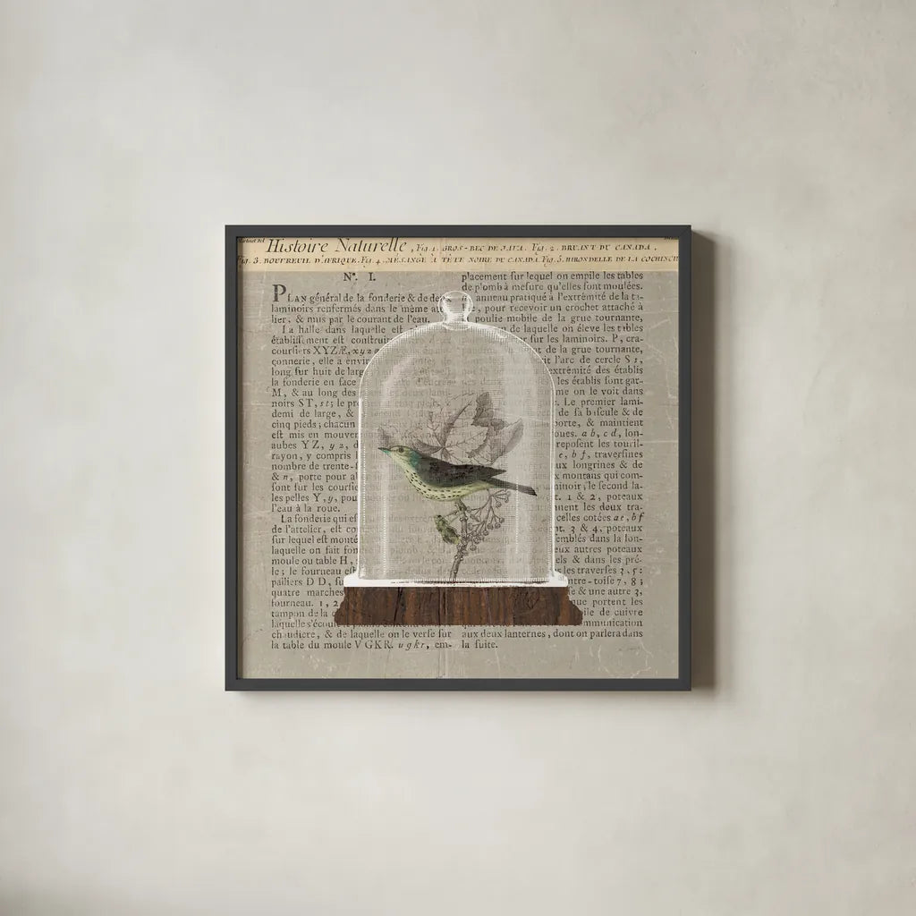 Nature Under Glass Newsprint III by Sue Schlabach. Shown in a sleek black glass frame for a contemporary gallery look. Available as an archival giclee rolled canvas, fine art paper, or poster print. SKU 44735a.