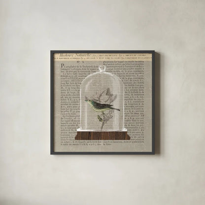 Nature Under Glass Newsprint III by Sue Schlabach. Shown in a sleek black glass frame for a contemporary gallery look. Available as an archival giclee rolled canvas, fine art paper, or poster print. SKU 44735a.