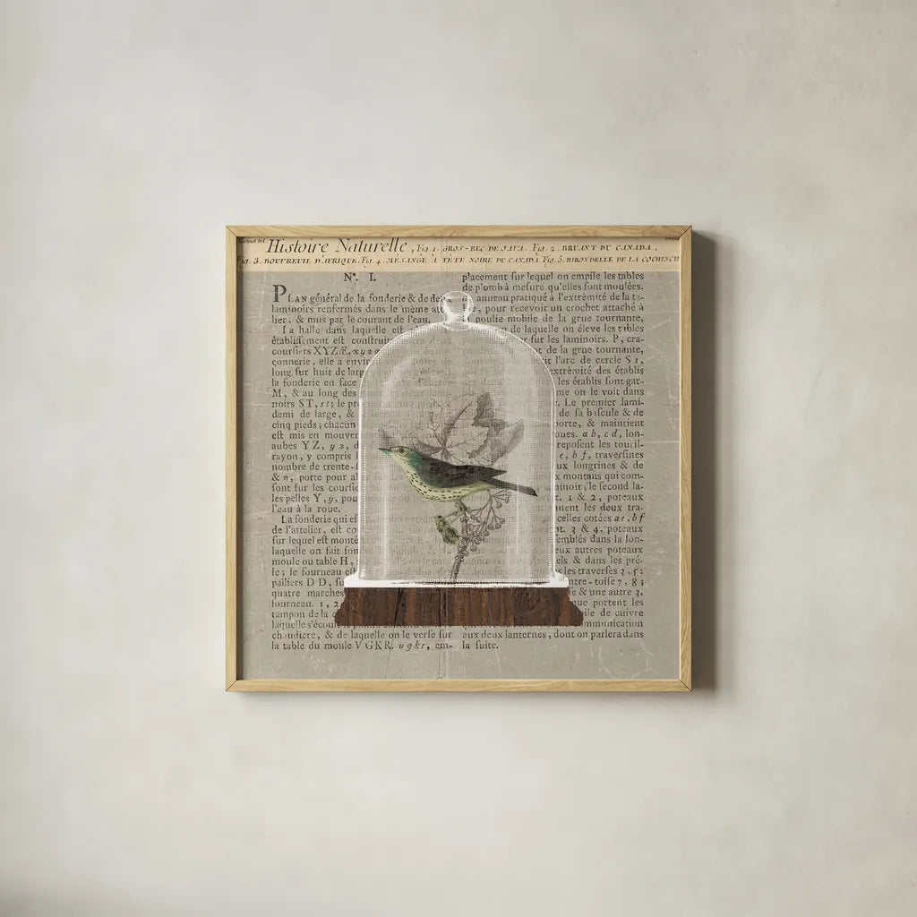 Nature Under Glass Newsprint III by Sue Schlabach. Shown in a natural wood glass frame for a timeless modern aesthetic. Available as an archival giclee rolled canvas, fine art paper, or poster print. SKU 44735a.