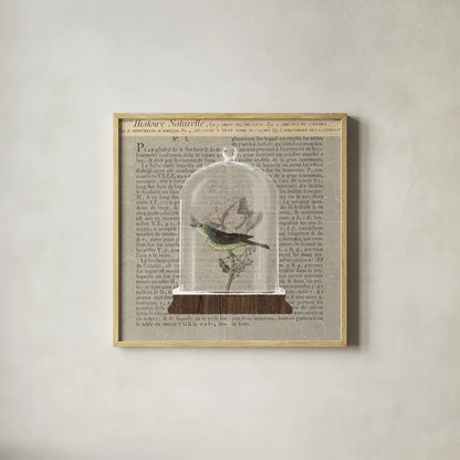 Nature Under Glass Newsprint III by Sue Schlabach. Shown in a natural wood glass frame for a timeless modern aesthetic. Available as an archival giclee rolled canvas, fine art paper, or poster print. SKU 44735a.