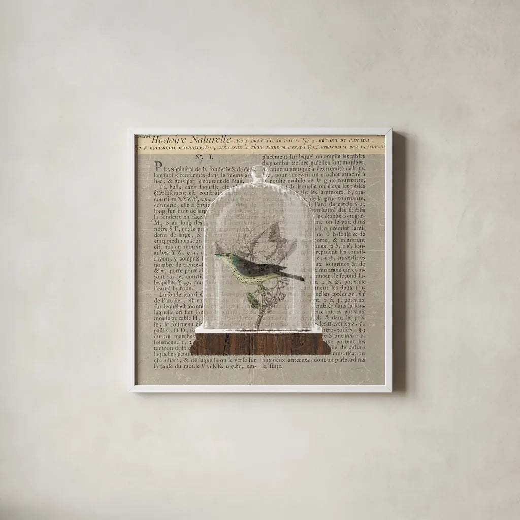 Nature Under Glass Newsprint III by Sue Schlabach. Shown in a crisp white glass frame for a clean and minimalist style. Available as an archival giclee rolled canvas, fine art paper, or poster print. SKU 44735a.
