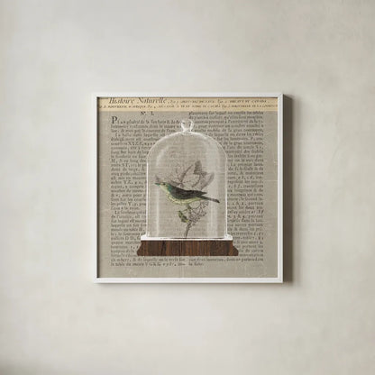 Nature Under Glass Newsprint III by Sue Schlabach. Shown in a crisp white glass frame for a clean and minimalist style. Available as an archival giclee rolled canvas, fine art paper, or poster print. SKU 44735a.