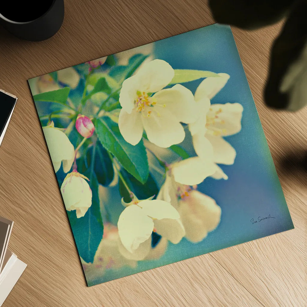 Natures Apple Blossom by Sue Schlabach. Shown as a detailed flat fine art print, highlighting archival giclee quality. Available as an archival giclee rolled canvas, fine art paper, or poster print. SKU 10347a.