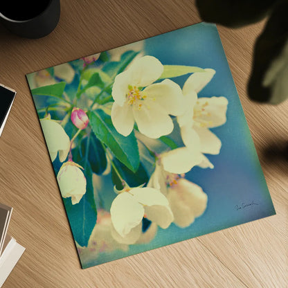 Natures Apple Blossom by Sue Schlabach. Shown as a detailed flat fine art print, highlighting archival giclee quality. Available as an archival giclee rolled canvas, fine art paper, or poster print. SKU 10347a.