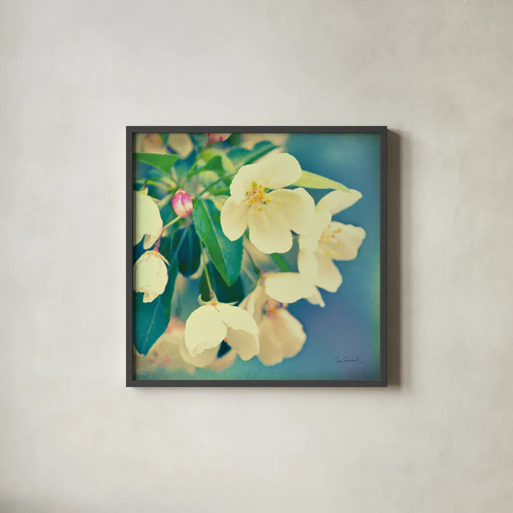 Natures Apple Blossom by Sue Schlabach. Shown in a sleek black glass frame for a contemporary gallery look. Available as an archival giclee rolled canvas, fine art paper, or poster print. SKU 10347a.