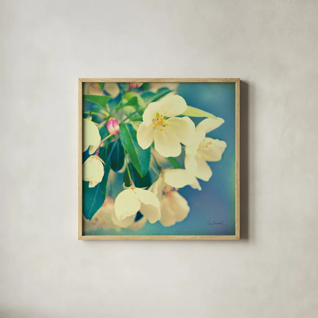 Natures Apple Blossom by Sue Schlabach. Shown in a natural wood glass frame for a timeless modern aesthetic. Available as an archival giclee rolled canvas, fine art paper, or poster print. SKU 10347a.