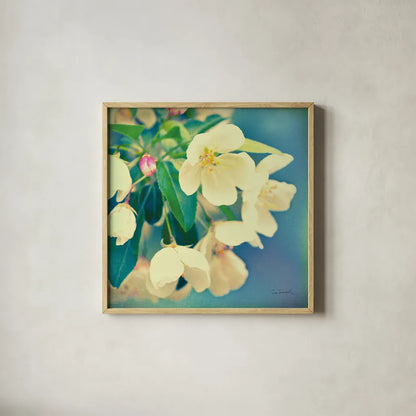 Natures Apple Blossom by Sue Schlabach. Shown in a natural wood glass frame for a timeless modern aesthetic. Available as an archival giclee rolled canvas, fine art paper, or poster print. SKU 10347a.