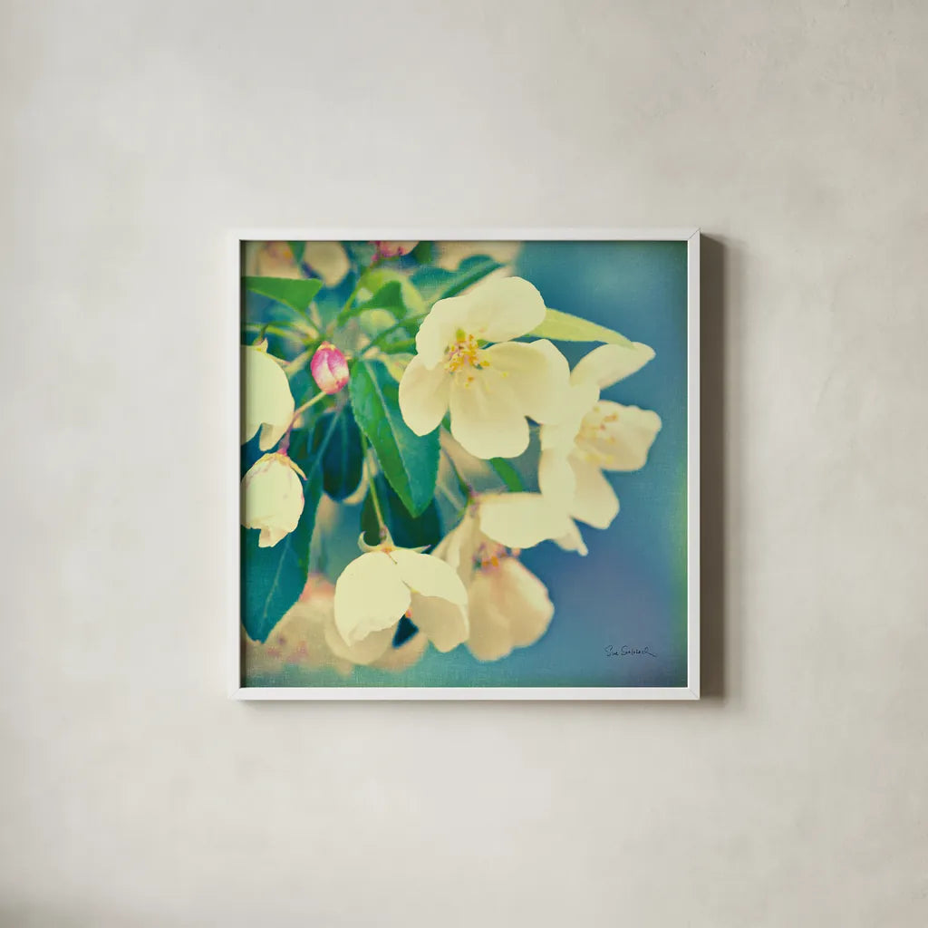 Natures Apple Blossom by Sue Schlabach. Shown in a crisp white glass frame for a clean and minimalist style. Available as an archival giclee rolled canvas, fine art paper, or poster print. SKU 10347a.