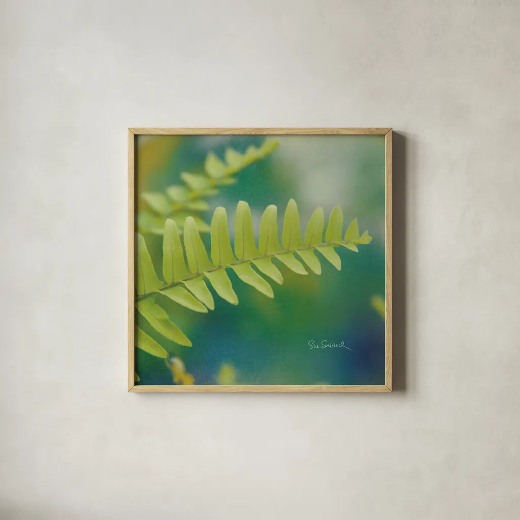 Natures Ferns I No Border by Sue Schlabach. Shown in a natural wood glass frame for a timeless modern aesthetic. Available as an archival giclee rolled canvas, fine art paper, or poster print. SKU 10496a.