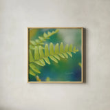 Natures Ferns I No Border by Sue Schlabach. Shown in a natural wood glass frame for a timeless modern aesthetic. Available as an archival giclee rolled canvas, fine art paper, or poster print. SKU 10496a.