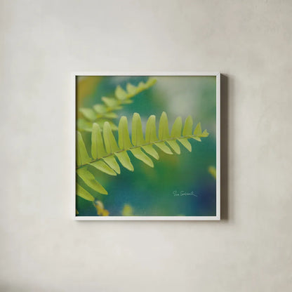 Natures Ferns I No Border by Sue Schlabach. Shown in a crisp white glass frame for a clean and minimalist style. Available as an archival giclee rolled canvas, fine art paper, or poster print. SKU 10496a.