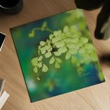 Natures Ferns II No Border by Sue Schlabach. Shown as a detailed flat fine art print, highlighting archival giclee quality. Available as an archival giclee rolled canvas, fine art paper, or poster print. SKU 10497a.