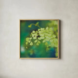 Natures Ferns II No Border by Sue Schlabach. Shown in a natural wood glass frame for a timeless modern aesthetic. Available as an archival giclee rolled canvas, fine art paper, or poster print. SKU 10497a.