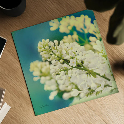 Natures Lilac Blossom by Sue Schlabach. Shown as a detailed flat fine art print, highlighting archival giclee quality. Available as an archival giclee rolled canvas, fine art paper, or poster print. SKU 10348a.