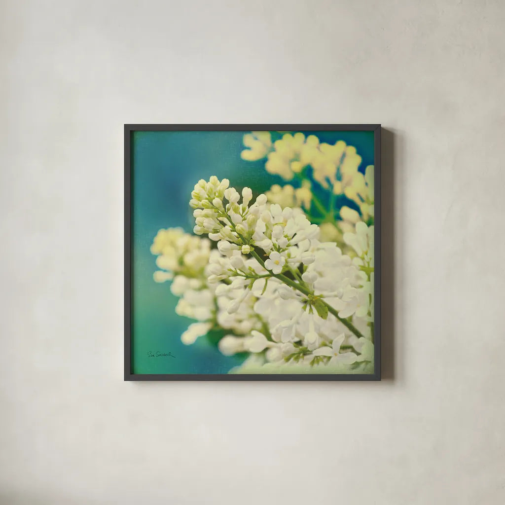 Natures Lilac Blossom by Sue Schlabach. Shown in a sleek black glass frame for a contemporary gallery look. Available as an archival giclee rolled canvas, fine art paper, or poster print. SKU 10348a.