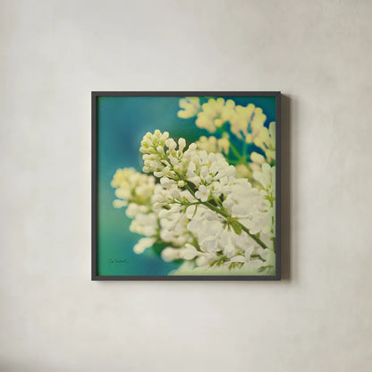 Natures Lilac Blossom by Sue Schlabach. Shown in a sleek black glass frame for a contemporary gallery look. Available as an archival giclee rolled canvas, fine art paper, or poster print. SKU 10348a.