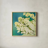Natures Lilac Blossom by Sue Schlabach. Shown in a natural wood glass frame for a timeless modern aesthetic. Available as an archival giclee rolled canvas, fine art paper, or poster print. SKU 10348a.