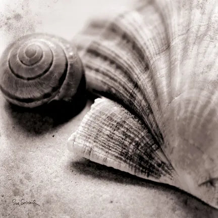 Ocean Treasures Square by Sue Schlabach. SKU 5847a. Archival Giclee Fine art print for wall decor.