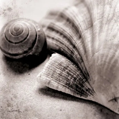 Ocean Treasures Square by Sue Schlabach. SKU 5847a. Archival Giclee Fine art print for wall decor.