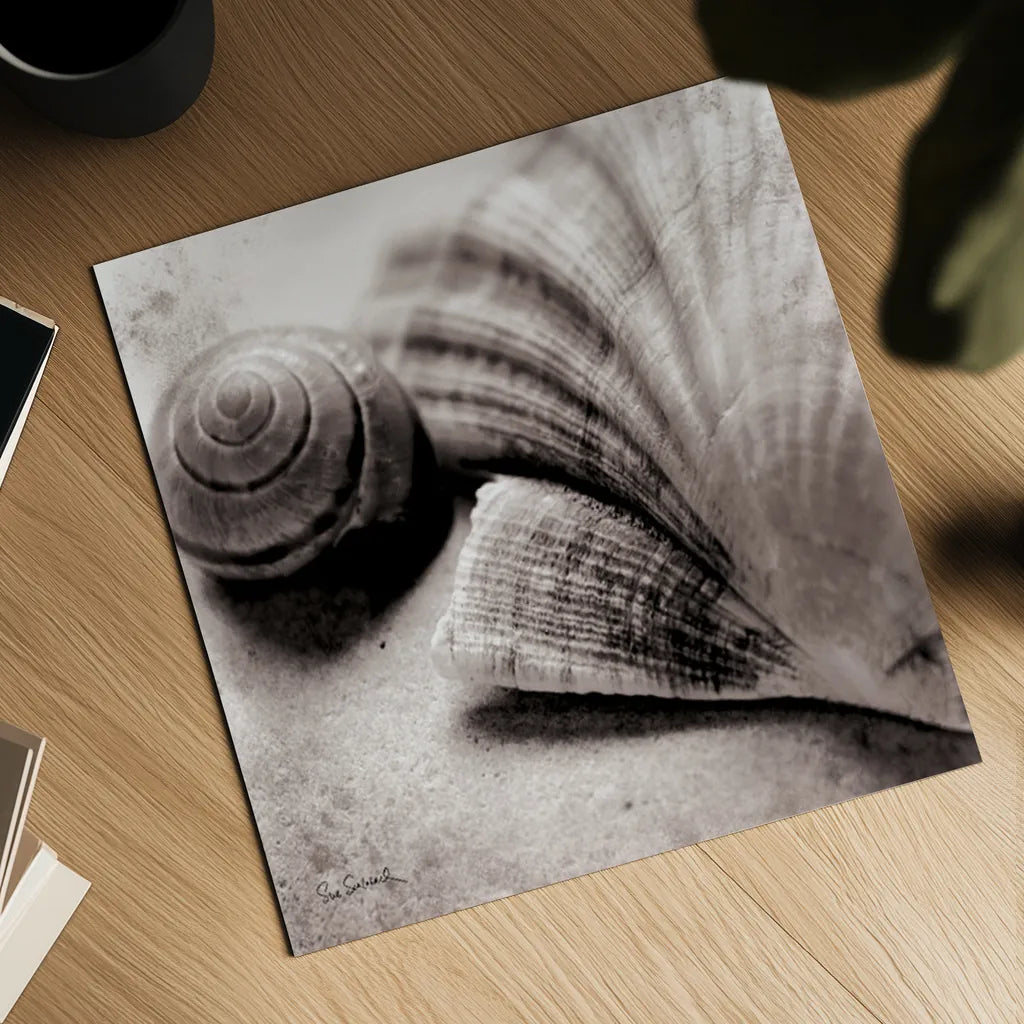 Ocean Treasures Square by Sue Schlabach. Shown as a detailed flat fine art print, highlighting archival giclee quality. Available as an archival giclee rolled canvas, fine art paper, or poster print. SKU 5847a.