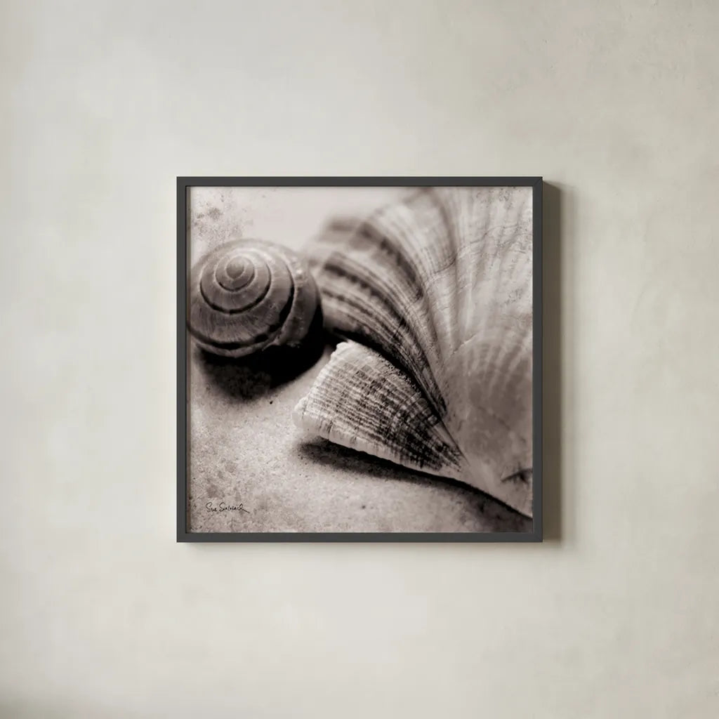 Ocean Treasures Square by Sue Schlabach. Shown in a sleek black glass frame for a contemporary gallery look. Available as an archival giclee rolled canvas, fine art paper, or poster print. SKU 5847a.