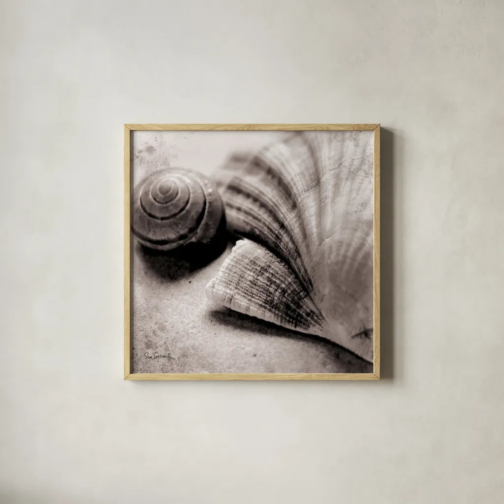 Ocean Treasures Square by Sue Schlabach. Shown in a natural wood glass frame for a timeless modern aesthetic. Available as an archival giclee rolled canvas, fine art paper, or poster print. SKU 5847a.