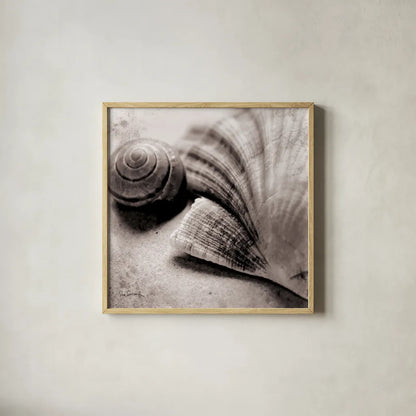 Ocean Treasures Square by Sue Schlabach. Shown in a natural wood glass frame for a timeless modern aesthetic. Available as an archival giclee rolled canvas, fine art paper, or poster print. SKU 5847a.