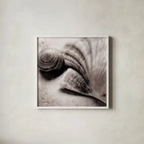 Ocean Treasures Square by Sue Schlabach. Shown in a crisp white glass frame for a clean and minimalist style. Available as an archival giclee rolled canvas, fine art paper, or poster print. SKU 5847a.