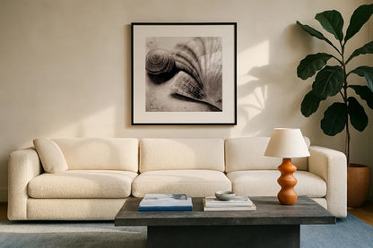 Ocean Treasures Square by Sue Schlabach. Displayed in a glass frame with matte in a clean modern living room. Available as an archival giclee rolled canvas, fine art paper, or poster print. SKU 5847a.