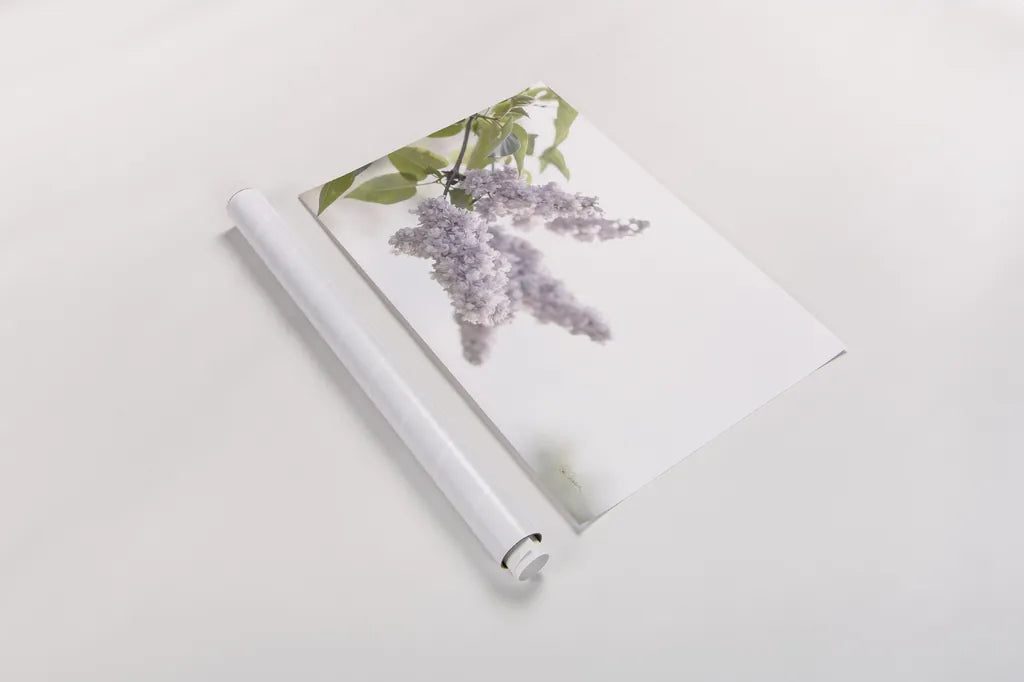 Pale Lilacs I by Sue Schlabach. shown as a rolled paper print. Available as archival giclee rolled canvas, fine art paper, or poster print. SKU 72129i.