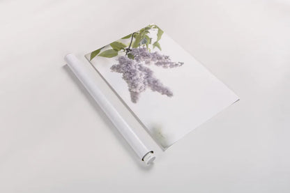 Pale Lilacs I by Sue Schlabach. shown as a rolled paper print. Available as archival giclee rolled canvas, fine art paper, or poster print. SKU 72129i.