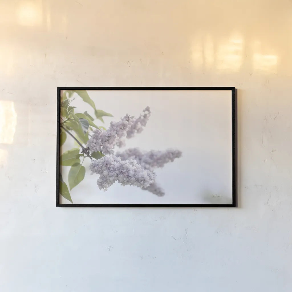 Pale Lilacs I by Sue Schlabach. shown as a paper print in a black flame. Available as a archival giclee rolled canvas, fine art paper, or poster print. SKU 72129i.