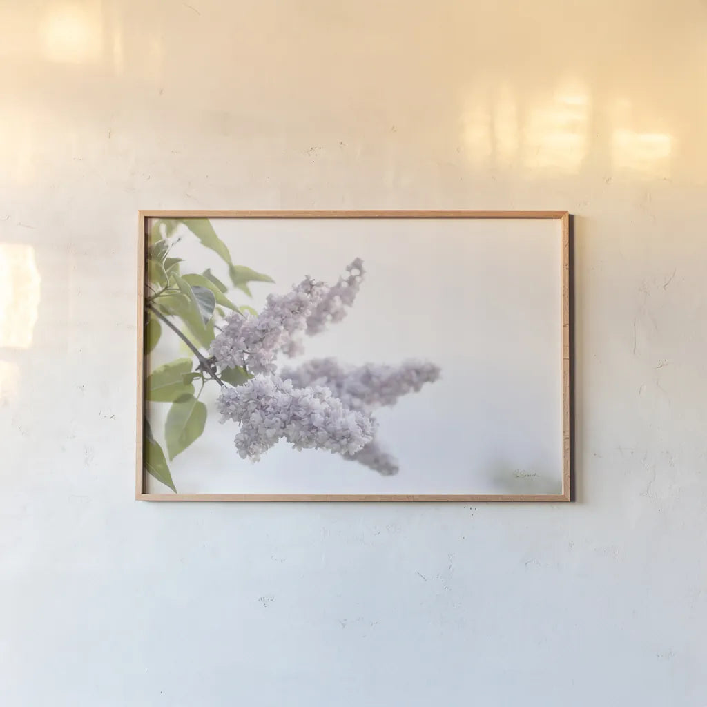 Pale Lilacs I by Sue Schlabach. shown as a paper print in a natural frame. Available as a archival giclee rolled canvas, fine art paper, or poster print. SKU 72129i.