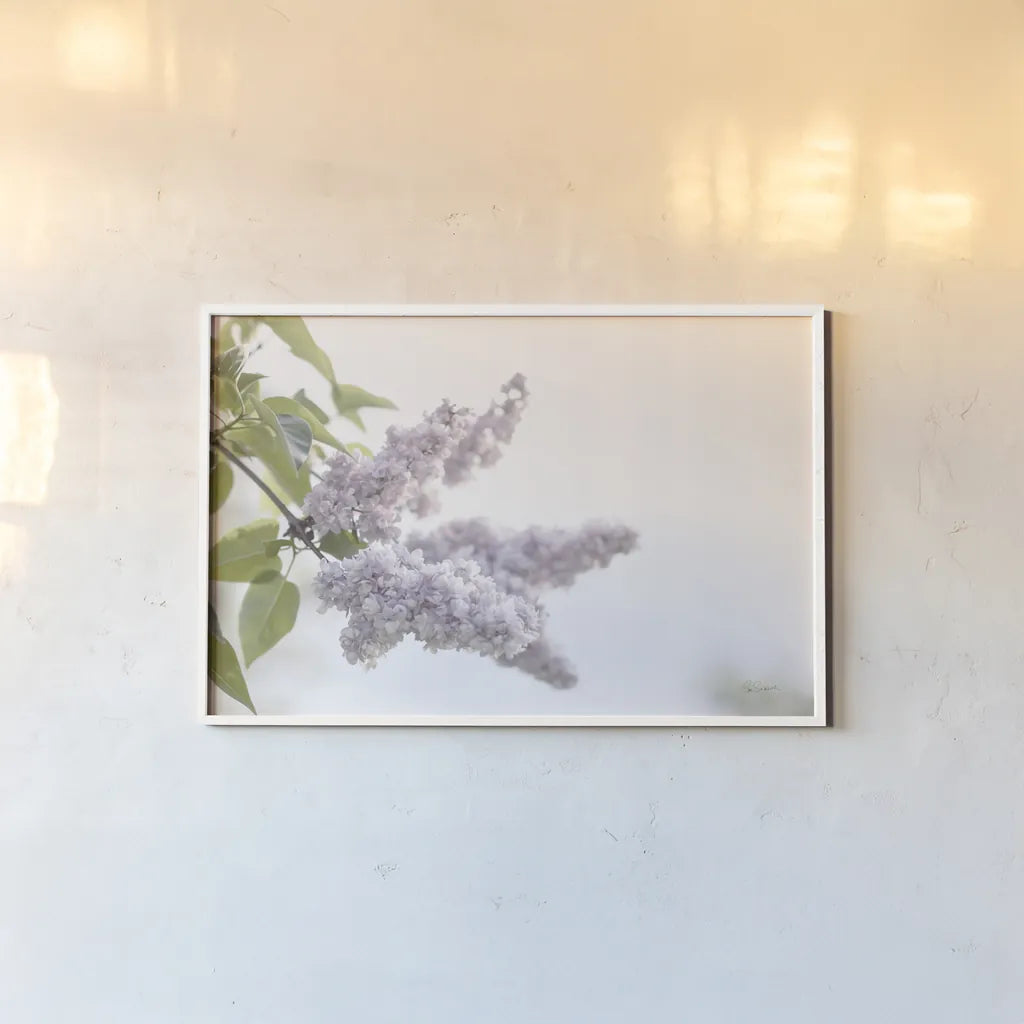 Pale Lilacs I by Sue Schlabach. shown as a paper print in a white frame. Available as a archival giclee rolled canvas, fine art paper, or poster print. SKU 72129i.