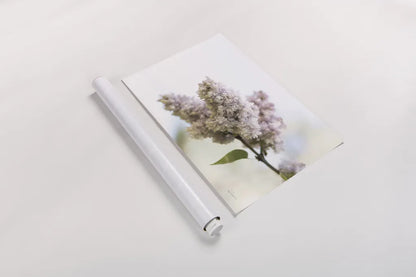 Pale Lilacs II by Sue Schlabach. shown as a rolled paper print. Available as archival giclee rolled canvas, fine art paper, or poster print. SKU 72130i.