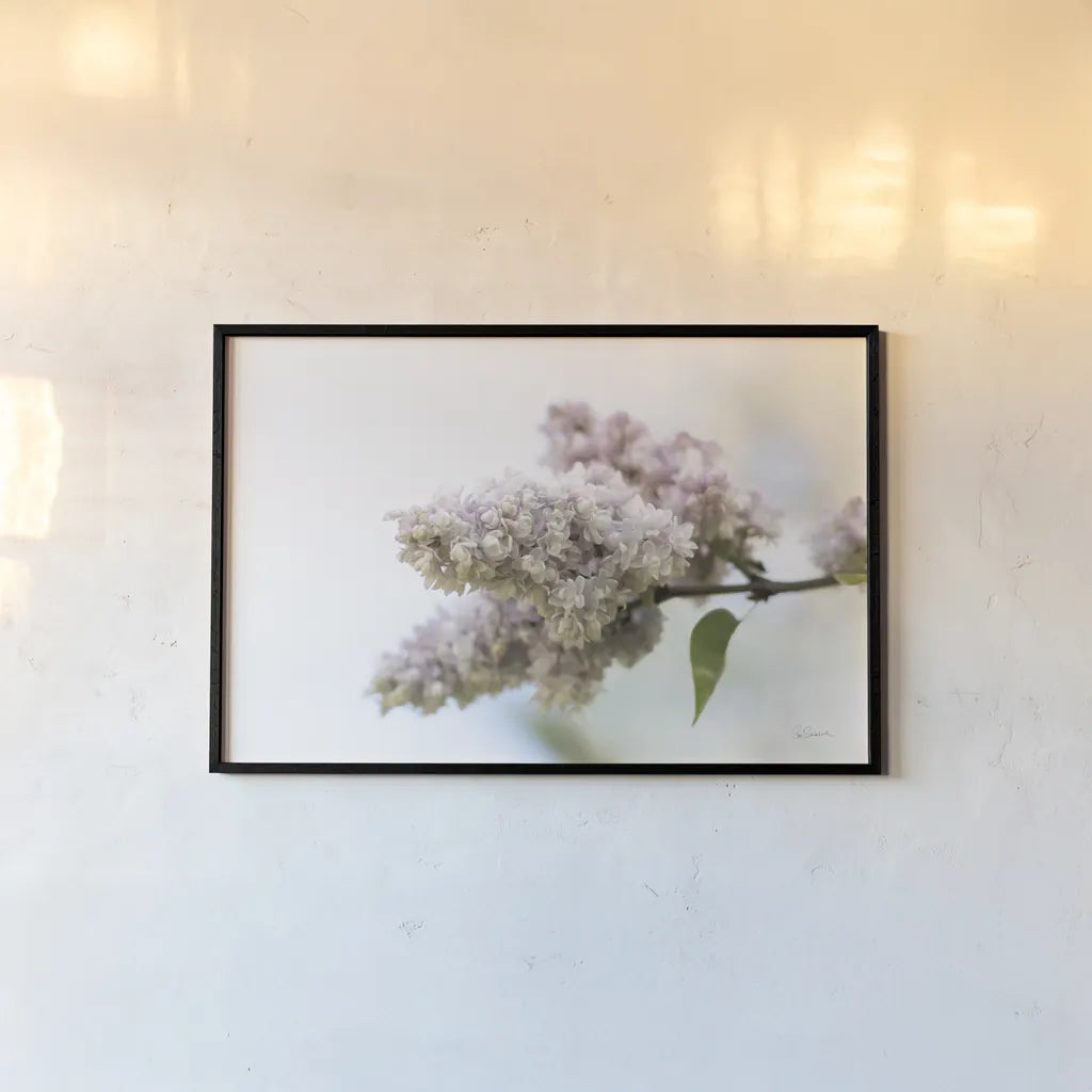 Pale Lilacs II by Sue Schlabach. shown as a paper print in a black flame. Available as a archival giclee rolled canvas, fine art paper, or poster print. SKU 72130i.