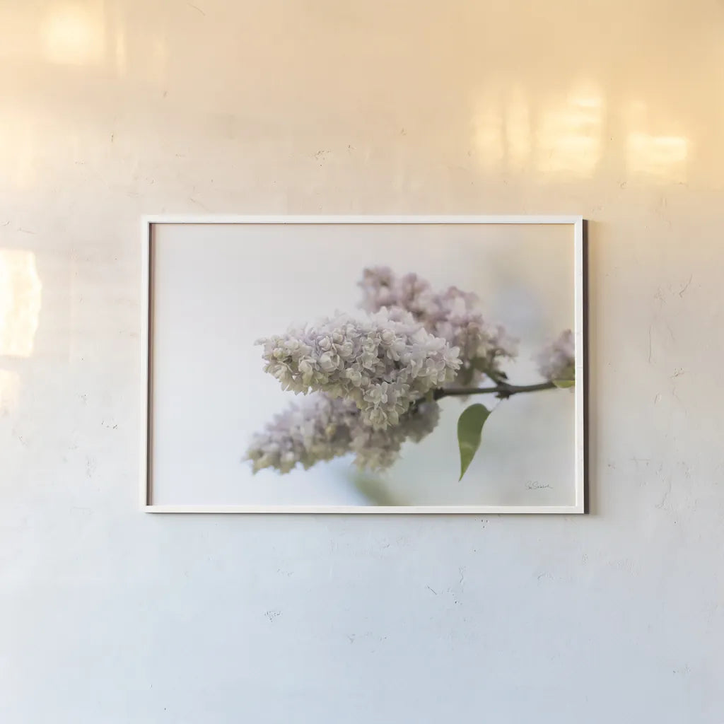Pale Lilacs II by Sue Schlabach. shown as a paper print in a white frame. Available as a archival giclee rolled canvas, fine art paper, or poster print. SKU 72130i.