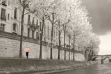 Paris in the Rain III by Sue Schlabach. SKU 41085i. Archival Giclee Fine art print for wall decor.