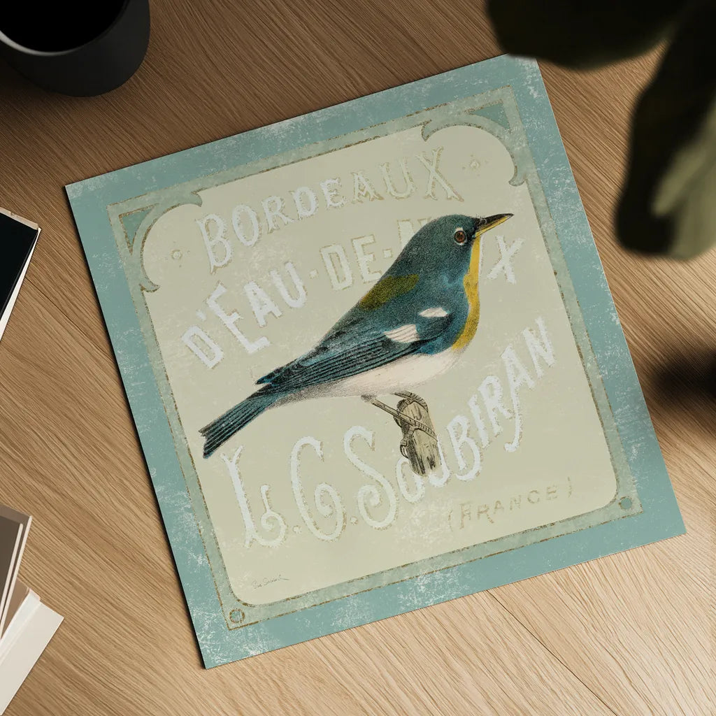 Parisian Bird I by Sue Schlabach. Shown as a detailed flat fine art print, highlighting archival giclee quality. Available as an archival giclee rolled canvas, fine art paper, or poster print. SKU 9075a.