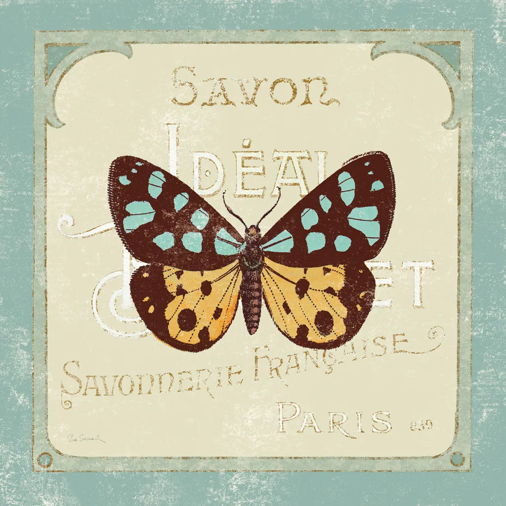 Parisian Butterfly I by Sue Schlabach. SKU 9077a. Archival Giclee Fine art print for wall decor.