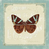 Parisian Butterfly II by Sue Schlabach. SKU 9078a. Archival Giclee Fine art print for wall decor.