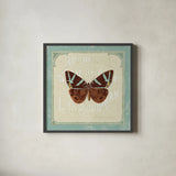 Parisian Butterfly II by Sue Schlabach. Shown in a sleek black glass frame for a contemporary gallery look. Available as an archival giclee rolled canvas, fine art paper, or poster print. SKU 9078a.