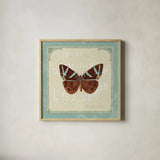Parisian Butterfly II by Sue Schlabach. Shown in a natural wood glass frame for a timeless modern aesthetic. Available as an archival giclee rolled canvas, fine art paper, or poster print. SKU 9078a.