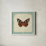 Parisian Butterfly II by Sue Schlabach. Shown in a crisp white glass frame for a clean and minimalist style. Available as an archival giclee rolled canvas, fine art paper, or poster print. SKU 9078a.