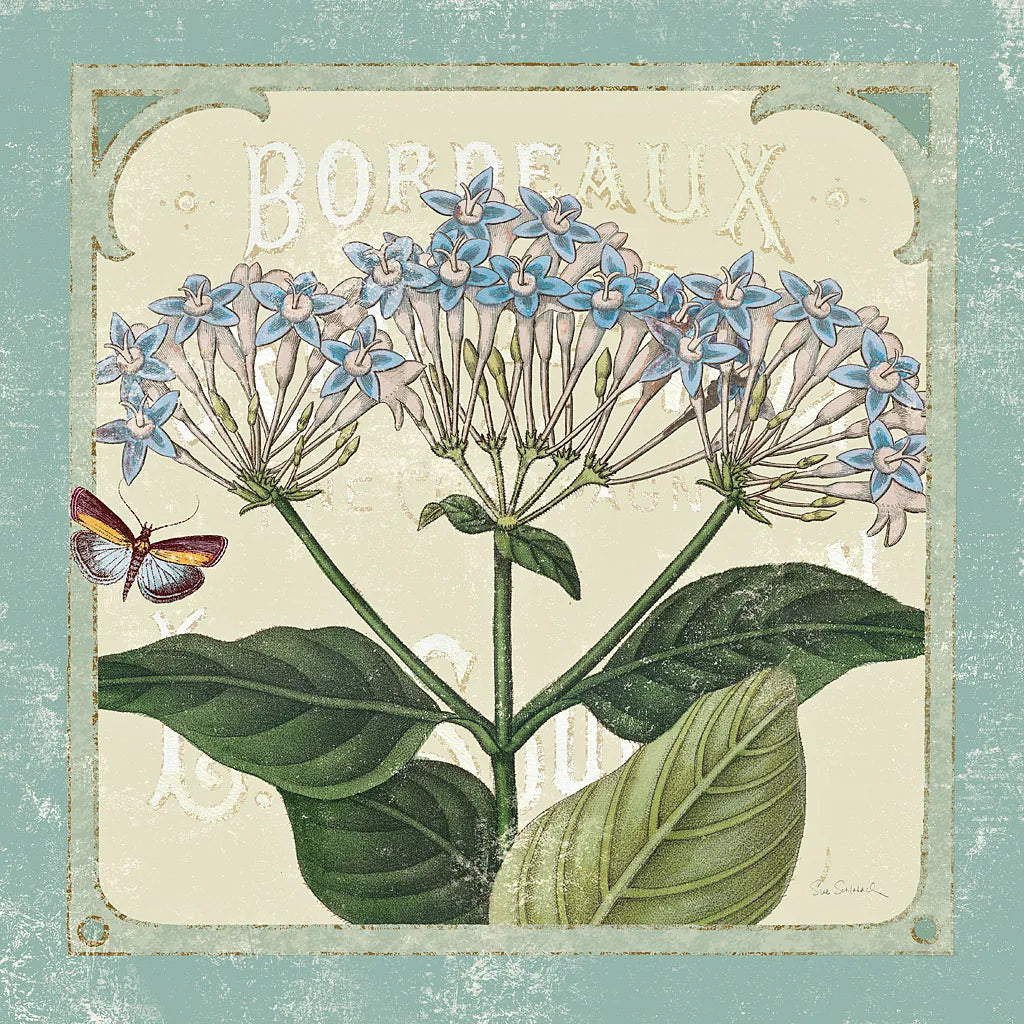 Parisian Flowers I by Sue Schlabach. SKU 9079a. Archival Giclee Fine art print for wall decor.