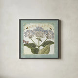 Parisian Flowers I Bees by Sue Schlabach. Shown in a sleek black glass frame for a contemporary gallery look. Available as an archival giclee rolled canvas, fine art paper, or poster print. SKU 71318a.