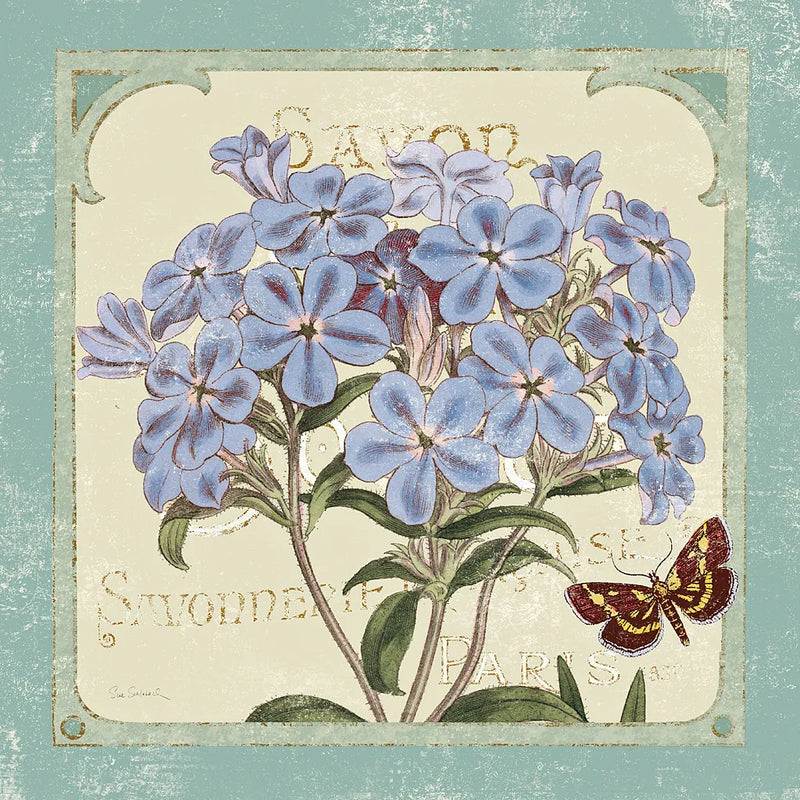 Parisian Flowers II by Sue Schlabach. SKU 9080a. Archival Giclee Fine art print for wall decor.