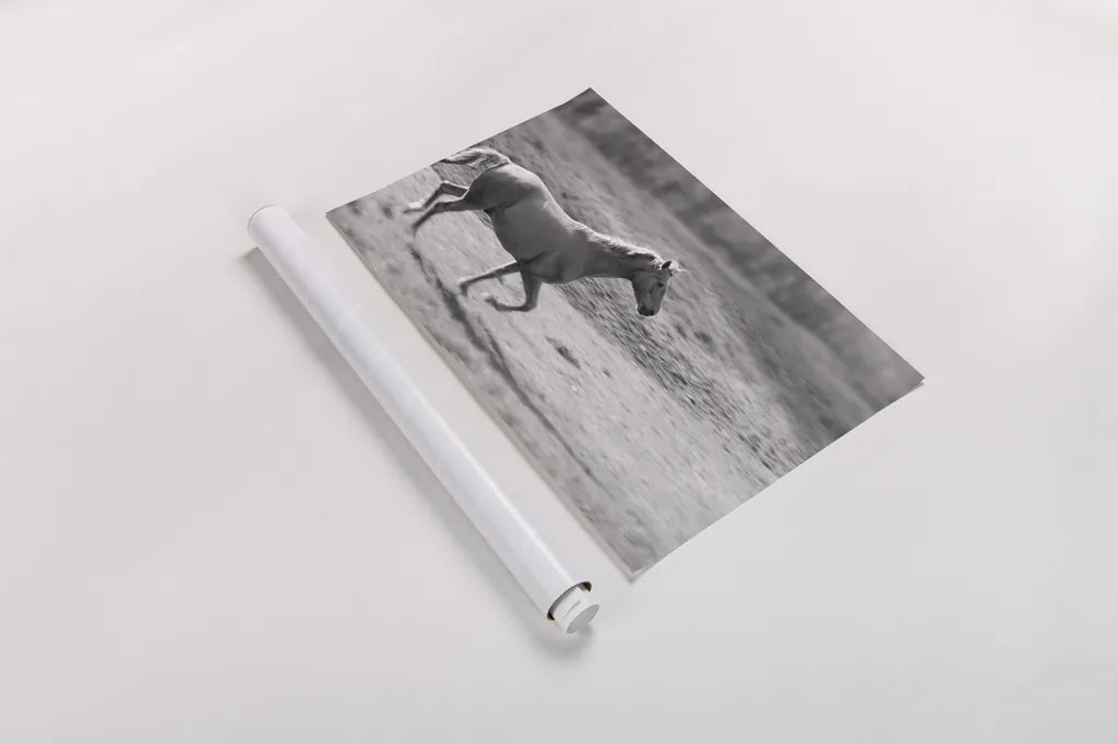 Pasture Run by Sue Schlabach. shown as a rolled paper print. Available as archival giclee rolled canvas, fine art paper, or poster print. SKU 58274i.